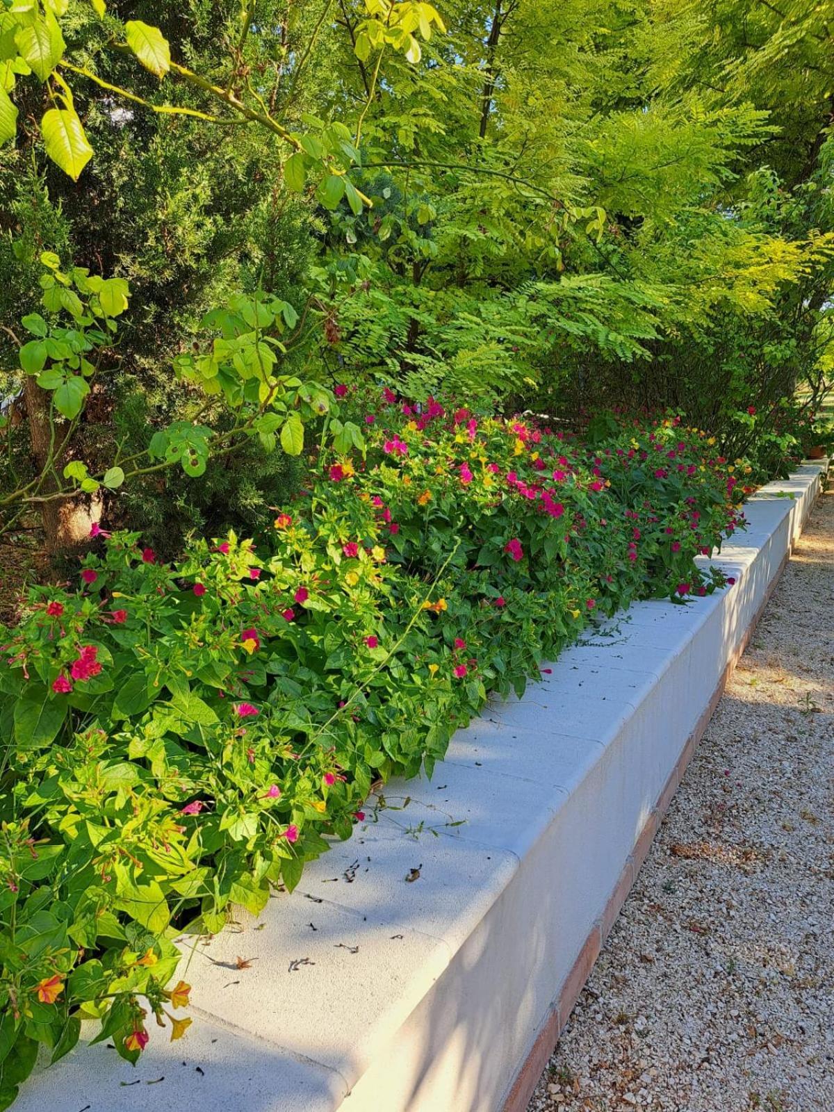 La Casa Nel Verde Larino Ngoại thất bức ảnh