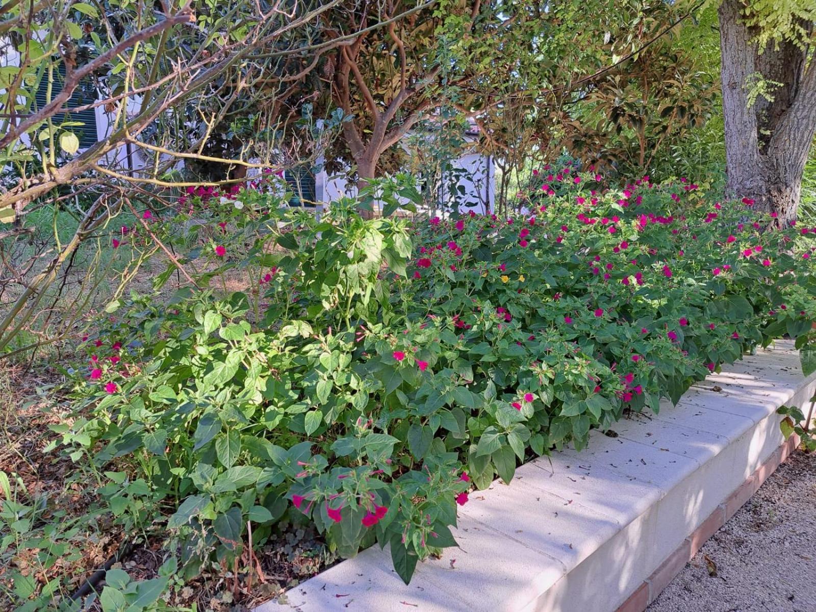 La Casa Nel Verde Larino Ngoại thất bức ảnh
